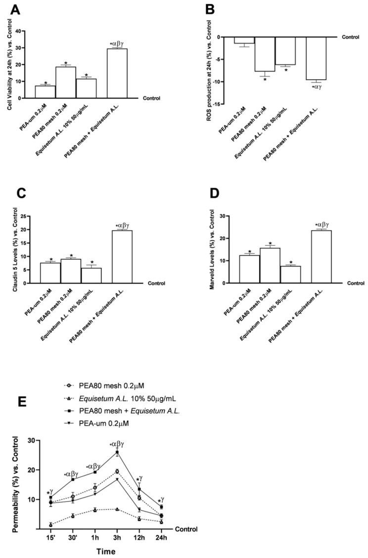 Analysis of a 3D tri-culture model of BBB after 24 h treatment with the individual agents and combination under consideration. (A) Cell viability results at 24 h through MTT assay; (B) oxidative stress results at 24 h in terms of ROS production by colorimetric method; (C,D) levels of TJ at 24 h obtained by ELISA kit; and (E) sample permeability to predict the bioavailability in the brain after crossing the BBB through fluorescent probe. Data are expressed as means ± SD (%) of increased values derived from five independent experiments performed in triplicate, normalised to control values (0% line). * p < 0.05 vs. control; α p < 0.05 vs. PEA-um 0.2 μM; β p < 0.05 vs. PEA80mesh 0.2 μM; γ p < 0.05 vs. Equisetum A.L. 10% 50 μg/mL.