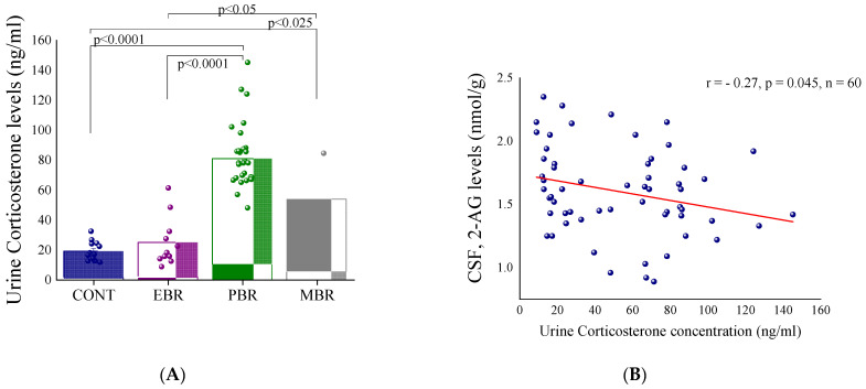 Urine corticosterone concentrations shortly after predator scent stress (PSS) exposure. (A) Urine corticosterone concentrations 60–90 min following PSS in controls and in the different cut-off behavioral criteria (CBC) groups. Significant differences are shown on the graph. (B) Correlation between 2-arachidonoyl glycerol (2-AG) levels in the cerebrospinal fluid (CSF) and urine corticosterone shortly after PSS. Significant values are shown in the graphs.