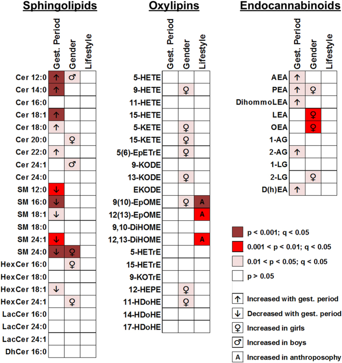 Levels of sphingolipid, oxylipin and endocannabinoid species in vernix caseosa (VC) affected by gestational period, gender of the child or lifestyle of the mother.See Supplementary Table S1 for compound nomenclature. P-values for the linear regression of one of the factors adjusted for the other two as covariates are displayed. All indicated changes were corrected for multiple hypothesis testing using the Storey q-value.