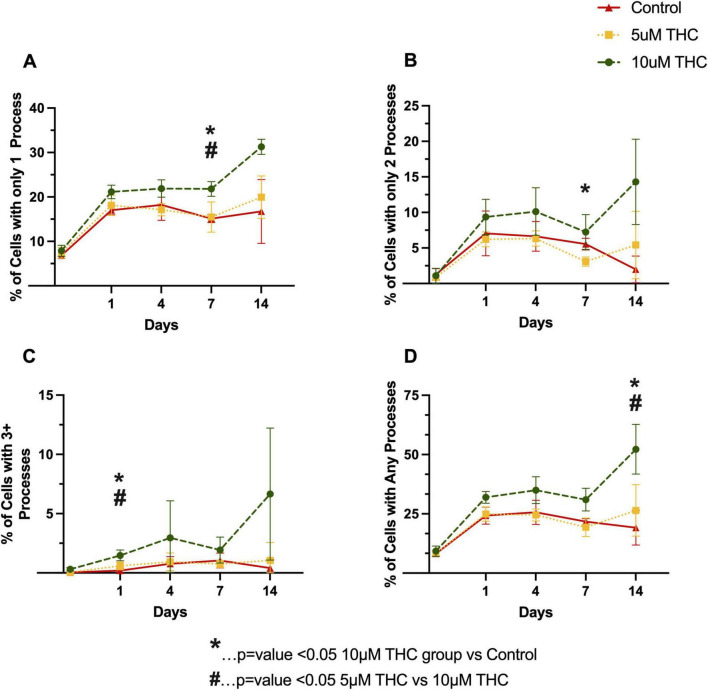 Four line graphs, labeled A to D, show the effects of concentrations of THC (5 µM and 10 µM) compared to a control on cell processes over 14 days. Graph A shows the percentage of cells with only 1 process increasing significantly with 10 µM THC. Graph B shows variable percentages of cells with 2 processes. Graph C indicates a slight increase in cells with 3 or more processes in the 10 µM group. Graph D shows the overall percentage of cells with any processes, with marked increases for 10 µM THC. Asterisks and hashtags denote statistical significance.