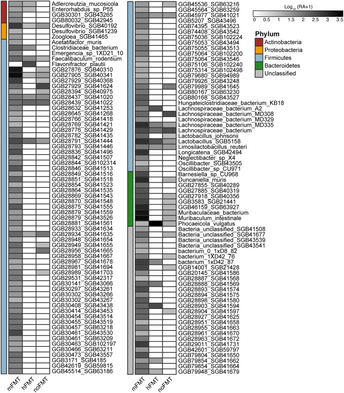 Bacterial genera significantly different in abundance between cleared and colonized mice.Mean log10-transformed (CPM + 1) of all bacterial genera significantly different in abundance between mice that cleared (mFMT) or did not clear (hFMT, noFMT) C. difficile (based on MaAsLin2; linear model with BH correction, q ≤ 0.01).