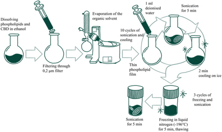 Scheme of liposome synthesis.