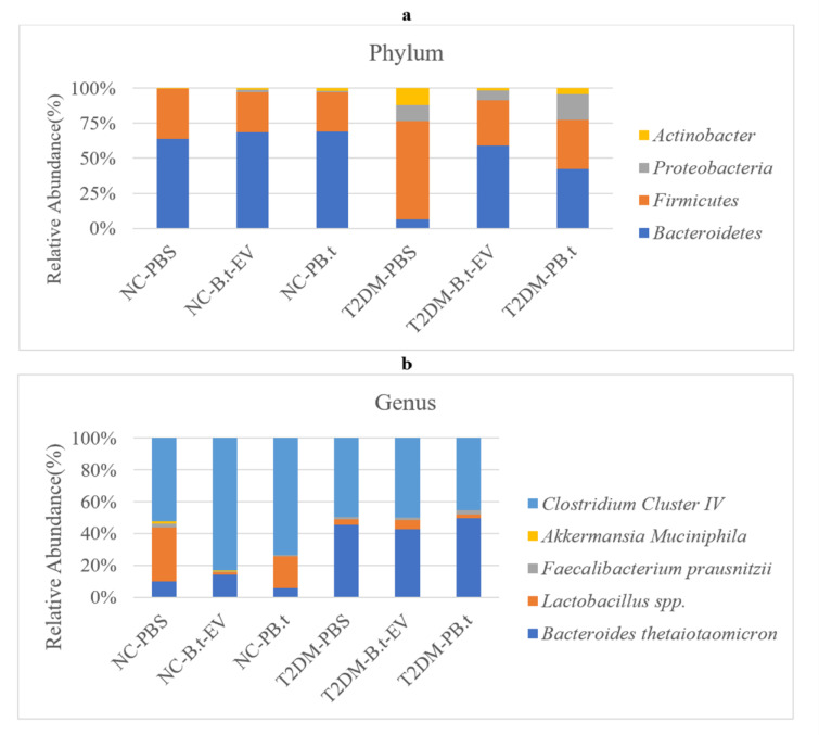 Column charts showing the population percentage of each bacterium in rats. (a) Relative abundance of bacteria at the phylum levels in NC-PBS, NC-B.t-EV, NC-PB.t, T2DM-PBS, T2DM-B.t-EV and T2DM-B.t. (b) Relative abundance of bacteria at the genus/species levels in NC-PBS, NC-B.t-EV, NC-PB.t, T2DM-PBS, T2DM-B.t-EV and T2DM-B.t.Groups categories: NC-PBS (normal control rats gavaged with PBS); NC-B.t-EV (NC gavaged with Bacteroides thetaiotaomicron(B.t)'s Extracellular Vesicles); NC-PB.t (NC gavaged with Pasteurized B.t); T2DM-PBS (type 2 diabetes mellitus gavaged with PBS); T2DM-B.t-EV (T2DM rats gavaged with B.t-EV); T2DM-PB.t (T2DM rats gavaged with PB.t).