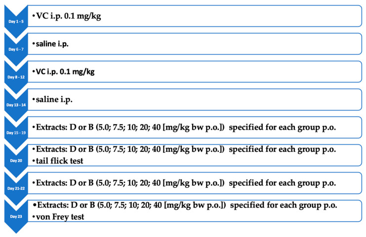 Experimental scheme of neuropathic pain induction and treatment in rats.