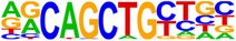 PHY2-12-e70059-g010.jpg