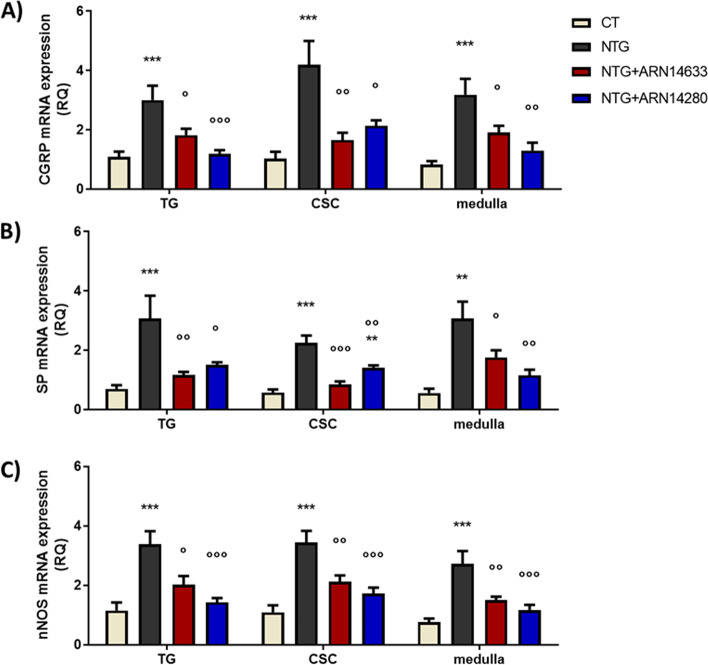 CGRP (A), SP (B) and nNOS (C) mRNA levels (expressed as relative quantification, RQ) in trigeminal ganglion (TG) and cervical spinal cord (CSC) ipsilateral to formalin injection and medulla in toto of animals treated with NTG vehicle (CT), NTG, NTG + ARN14663 and NTG + ARN14280 (n. 9 per group). Data are expressed as mean ± SEM; one-way ANOVA followed by Tukey’s multiple comparisons test; **p < 0.01 and ***p < 0.001 vs CT; °p < 0.05, °°p < 0.01 and °°°p < 0.001 vs NTG