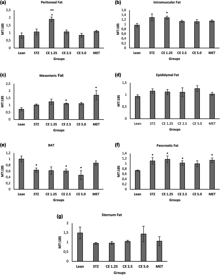Mitochondrial to Genomic DNA ratio of various fat deposits. Mitochondrial to Genomic DNA ratio was determined across various fat deposits namely (a) Peritoneal, (b) Intramuscular, (c) Mesenteric, (d) Epididymal, (e) BAT, (f) Pancreatic, and (g) Sternum fat. Error bars represent ± standard error of mean (n = 6–7). *p < 0.05, **p < 0.01, ***p < 0.001 relative to Lean and ^p < 0.05 relative to STZ