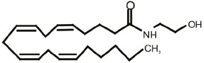 fnsyn-12-588660-t0002.jpg