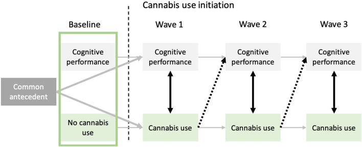 Representation of the cognitive vulnerability, concurrent, and neurotoxicity hypotheses relative to the association between cannabis use and cognitive functioning. The cognitive vulnerability hypothesis (represented by the green square) posits that before onset of cannabis use, future cannabis users already exhibit cognitive deficits. The common antecedent hypothesis, which offers a more general framework than the cognitive vulnerability hypothesis, posits that unknown common factors could be responsible for cannabis use onset and mild cognitive deteriorations, without cannabis use being the causal factor of the aforementioned cognitive deficits. Black dotted arrows allow to investigate the neurotoxic hypothesis by testing if previous cannabis use (t−1) predicts subsequent cognitive functioning (t), while controlling for frequency of cannabis use at time t. Lastly, black bidirectional arrows between cognitive abilities and cannabis use at every time-point represent the concurrent hypothesis. Indeed, cognitive performance at time t is associated with cannabis use at time t, without necessarily persisting effects through time.