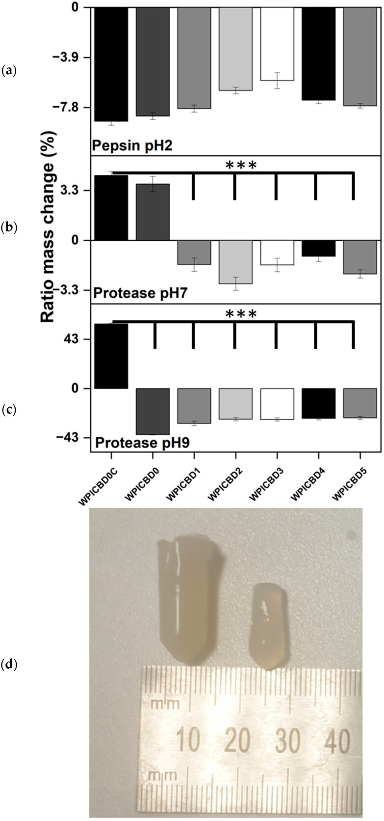 (a) Enzymatic degradation assay under (a) pH 2, (b) pH 7 and (c) pH 9 conditions. The hydrogel samples were introduced to 5 mL solution with added enzymes, (a) pepsin (pH 2) and (b) protease (pH 7 and pH 9). The WPICBD0C variant represents the control with no enzymes added to the solution, whereas WPICBD0 is the control with no added CBD. Each bar represents the mean ± SD of n = 10 (*** p < 0.001; compared to the WPI control). (d) an image depicts the pH9 WPICBD0C control with no enzymes (left) post swelling and degradation v the WPI0 control with enzymes (right).