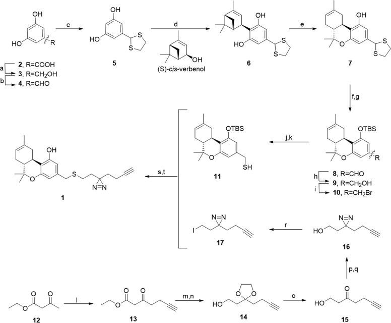 Synthesis of probe 1. Reagents and conditions: (a) BH3Me2S, B(OMe)3, THF, rt, 16 h, 99%; (b) CrO3, H2SO4, Acetone, 0°C, 10 min, 86%; (c) 1,2-ethanedithiol, BF3.Et2O, THF, rt, 16 h, 99%; (d) (s)-cis-verbenol, CSA, CHCl3, rt, 2 h, 60%; (e) BF3.Et2O, DCM, 0°C-rt, 1.5 h, 62%; (f) AgNO3, EtOH/H2O (10:1), rt, 18 h; (g) TBSCl, imidazole, DMF, rt, 3 h, 87% (yield over two steps); (h) LiBH4, THF, rt, 30 min, 99%; (i) CBr4, PPh3, DCM, rt, 1 h, 98%; (j) Thiourea, EtOH, 40°C, 1 h; (k) 1 M NaOH (aq.), EtOH, rt, 1 h, 80% (two steps); (l) LDA, THF, −40°C, 30 min; then propargyl bromide, 0°C, 1 h, 76%; (m) ethylene glycol, TsOH, PhMe, reflux in Dean-Stark apparatus, 3 h; (n) LiAlH4, THF, 0°C, 1 h, 92% (two steps); (o) TsOH, 19:1 acetone/H2O, 50°C, 2 h, 98%; (p) NH3 (l), reflux, 5 h; then NH2SO3H in MeOH, rt, 16 h; (q) I2, Et3N, DCM, 0°C, 83% (two steps); (r) I2, PPh3, imidazole DCM, rt, 1 h, 90%; (s) K2CO3, 2:1 THF/DMF, 30°C, 22 h; (t) TBAF, THF, 0°C, 15 min, 84% (two steps). DMF, dimethylformamide; rt, room temperature; THF, tetrahydrofuran.