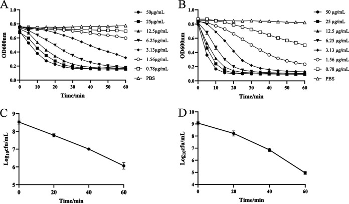 Bactericidal activity of ClyQ against S. aureus ATCC 43300 and S3. (A and B) Lytic activity of ClyQ against S. aureus ATCC 43300 (A) and S3 (B) at different strengths (50, 25, 12.5, 6.25, 3.13, 1.56, 0.78, and 0 μg/mL) within 60 min. (C and D) Time-dependent bactericidal activity of ClyQ (50 μg/mL) against S. aureus ATCC 43300 (C) and S3 (D) within 60 min. All experiments were repeated three times. The error bars show the standard deviations (SD).