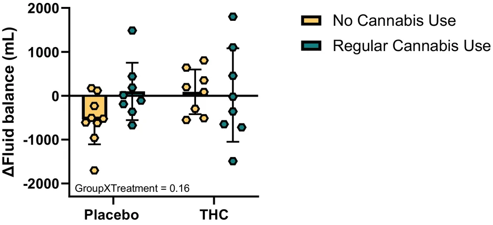 Fluid balance. Fluid balance calculated by the difference between total fluid intake and urine output preceding the tilt table test. Outcomes are shown as individual data points overlaid on bar graphs. Sample sizes vary by group due to incomplete data: the no cannabis use–placebo group includes n = 9, and the no cannabis use–THC group includes n = 8 due to one participant ending the study prior to testing; the regular cannabis use placebo and THC groups include n = 8 due to one participant not consenting to perform the tilt table test. Means ± SD.