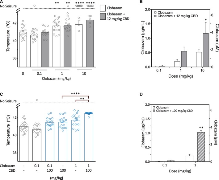Increased anticonvulsant effect of co‐administered clobazam and cannabidiol (CBD) on hyperthermia‐induced seizures in Scn1a +/− mice. CBD (12 mg/kg) did not increase the anticonvulsant effects of clobazam on hyperthermia‐induced seizures in Scn1a +/− mice despite the presence of a pharmacokinetic interaction. A, Temperature threshold for generalized tonic‐clonic seizures (GTCS) in individual mice treated with varying doses of clobazam in the absence (white bars) or presence (gray bars) of CBD. Clobazam treatment significantly increased body temperature of GTCS compared to vehicle. Concurrent CBD treatment did not affect the response of clobazam to thermally‐induced seizures. Error bars represent standard error of the mean (SEM), with n = 13‐17 per treatment group (**P < 0.005, ****P < 0.0001 compared to vehicle; log‐rank Mantel‐Cox). B, Average clobazam plasma concentrations in Scn1a +/− mice treated with clobazam only (white bars) or clobazam and CBD (12 mg/kg; grey bars). Combination treatment resulted in significantly higher plasma clobazam concentrations (P < 0.001; two‐way analysis of variance [ANOVA] followed by Sidak's post hoc; *P < 0.05). Error bars represent SEM, with n = 5‐8 per group. C, Threshold temperature of individual mice for GTCS induced by hyperthermia following acute treatment with clobazam (0.1 or 1 mg/kg) or CBD at a higher, anticonvulsant dose (100 mg/kg) administered individually or as a combination. Low‐dose clobazam (0.1 mg/kg) had no effect of GTCS threshold. All other treatments resulted in a significantly improved response to thermal seizure induction compared to vehicle (blue, open symbols, P < 0.05). Combination clobazam (1 mg/kg) and CBD (100 mg/kg) treatment was significantly more effective than either treatment alone, with n = 16‐17 per group (**P < 0.005, ****P < 0.0001; log‐rank Mantel‐Cox). [Note: vehicle and clobazam alone are replotted from 3A for clarity.] D, Average clobazam plasma concentrations in Scn1a +/− mice from the hyperthermia‐induced seizure experiment treated with clobazam (0.1 or 1 mg/kg) alone (white bars) or clobazam and CBD (100 mg/kg; gray‐striped bars). Combination treatment resulted in significantly higher clobazam levels (P < 0.001; two‐way ANOVA followed by Sidak's post hoc; **P < 0.005). Error bars represent SEM, with n = 5‐7 per group