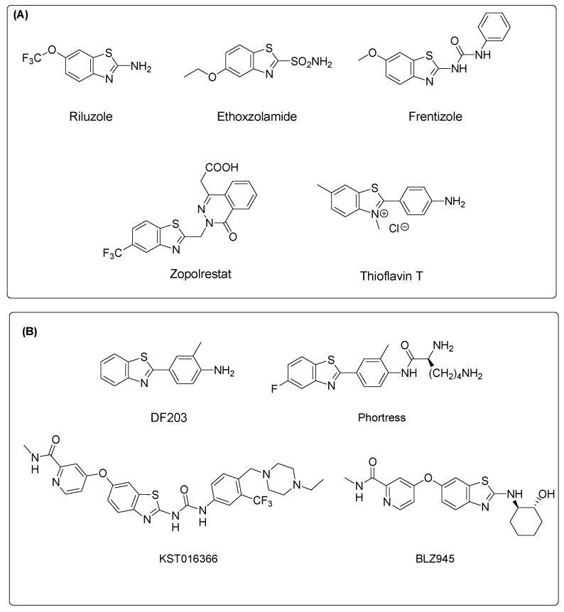 (A) Selected marketed drugs containing the benzothiazole nucleus; (B) Chemical structures of some benzothiazole derivatives endowed with strong antiproliferative effects in cancer cell models.