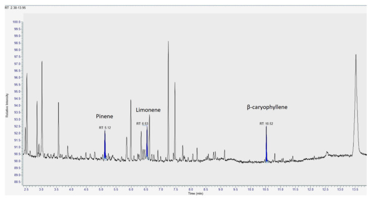 Representative GC/MS chromatograms of the extracts obtained from medical Cannabis.