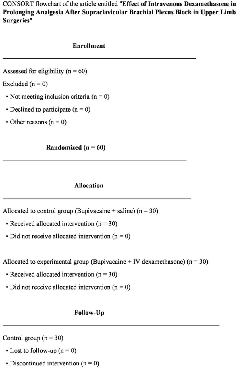CONSORT Flowchart of the participants