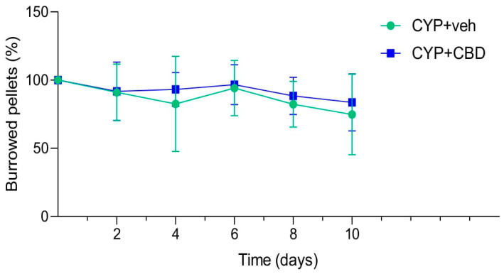 Summary statistics of measured burrowing activity in the CYP + veh group and CYP + CBD groups of mice during the experiment. Data at each time point are presented relative to basal burrowing activity, which is set at 100% for graphical presentation.