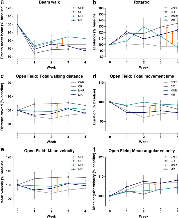 Effect of physical exercise and interaction with MPTP compared to the baseline (week 0); results of the behavioral tests in week 0–4. Measurements in week 1–4 were normalized to week 0 (100%). Dark-orange arrows indicate the main effect of physical exercise (a, b), and light orange arrows show the effect of the interaction between physical exercise and MPTP treatment (c–f) mean ± SEM n = 14 for both CNR and CR, n = 10 for MNR and n = 13 for MR. CNR, control not running; CR control running, MNR MPTP-treated but not running, MR MPTP-treated and running