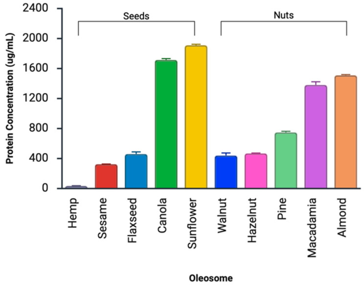 Protein concentration (µg/mL) of oleosome extracts. Data represent mean ± SD (n = 3).