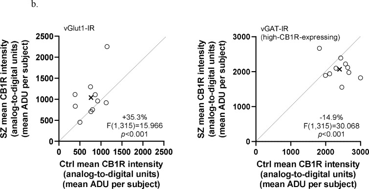 Comparison of mean CB1R intensity in excitatory (vGlut1-IR) boutons (left) and high-CB1R-expressing inhibitory (vGAT-IR) boutons (right) in matched pairs of comparison subjects (Ctrl) and subjects with schizophrenia (SZ). Mean values on mean CB1R intensities for each subject group are indicated by the X. Markers below the dashed unity line indicate pairs for which the subject with schizophrenia disorder had lower mean CB1R intensity than the matched comparison subject.