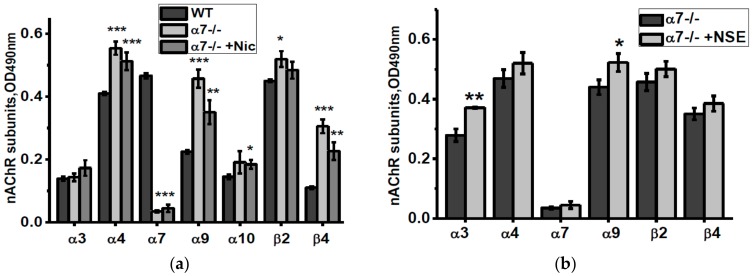 nAChR subunits composition in the brain mitochondria of α7-/- mice under the effect of either nicotine (a) or NSE (b). Each column corresponds to M ± SD, n-5. * p < 0.05; ** p < 0.005; *** p < 0.0005 compared to non-treated WT mice (a) or α7-/- mice (b).