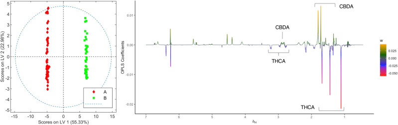 Score and loading factor plots obtained from the OPLS-DA between organic extracts of chemovars A and B. The metabolites that differentiate the two groups are annotated in the loading factor plots. The R2Y and Q2Y coefficients for the model were 0.99 and 0.99, respectively, and the ROC curve had an AUC value of 1.00 (see Figures S1 , S2 ).