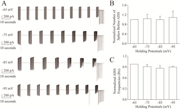 AISS induction is not affected by membrane potential hyperpolarization. AISS is induced under the voltage-clamp with the different holding potentials from −65 mV to −95 mV (n = 9). A) illustrates AISS induction under different membrane holding potentials at −65 (top trace), −75 (the second trace), −85 (the third trace) and −95 mV (bottom trace) from a GABAergic neuron. Calibration bars are 200 pA and 10 seconds. B) shows the number of spikes needed for inducing AISS under the different membrane holding potentials of −65, −75, −85 and −95 mV, in which the values for −75, −85 and −95 mV are normalized by the value for −65 mV. C) shows the frequencies of AISS induced under membrane holding potentials at −65, −75, −85 and −95 mV, in which the values for −75, −85 and −95 mV are normalized by the value for −65 mV.
