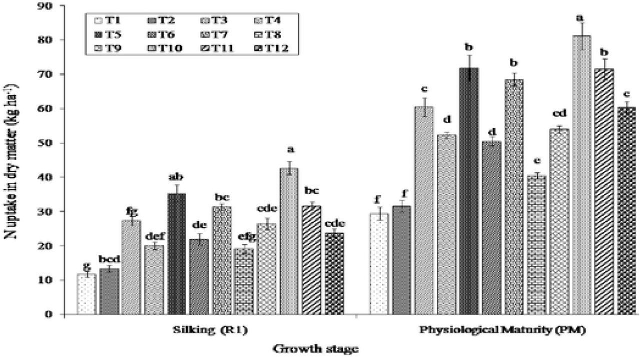 Effect of the treatment on N uptake in dry matter accumulation at silking (R1) and physiological maturity (PM) stgacs of maize (pooled mean of three years data). Means bars marked by the same letters are not significantly different according to Tukey’s Honest Significant Difference (HSD) (P=0.05).