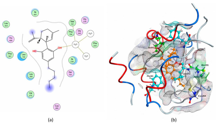 Pattern of CBD interactions with key rFAAH residues. (a) In the 2D structure the solvent contact is reported in yellow. (b) In the 3D structure the following details are reported as sticks: CBD, in orange; Leu192, Phe194 and Phe381, in cyan; Met191 and Ile491, in green; Cys269, in blue. The pictures were generated by means of the MOE software.