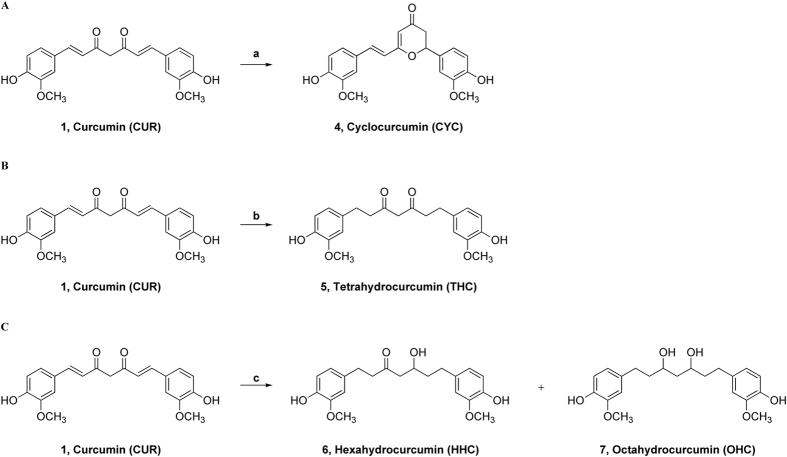 (A) Synthesis of cyclocurcumin, CYC (4); reagents and conditions: a) TFA, MW, 100 °C, 4 min, 10%. (B) Synthesis of THC (5); reagents and conditions: b) H2 (1 atm), Pt/C, MeOH, r.t., 1 h, 77%. (C) Synthesis of HHC (6) and OHC (7); reagents and conditions: c) H2 (6.8 atm), Pt/C, MeOH, r.t., 13 h; 6, HHC (37%); 7, OHC (55%).