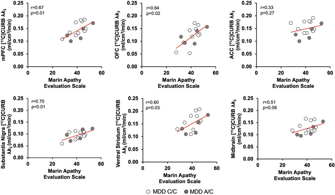 Positive correlations between Marin Apathy Evaluation Scale (MAES) scores and regional [11C]CURB λk3 in the MDD group.MDD participants who had higher MAES scores also had greater [11C]CURB λk3 binding in the medial prefrontal cortex (mPFC), orbitofrontal cortex (OFC), ventral striatum, and substantia nigra (r = 0.60 to 0.70, p = 0.01 to 0.03) but less so in the anterior cingulate cortex (ACC; r = 0.33, p = 0.27) and midbrain (r = 0.51, p = 0.08).