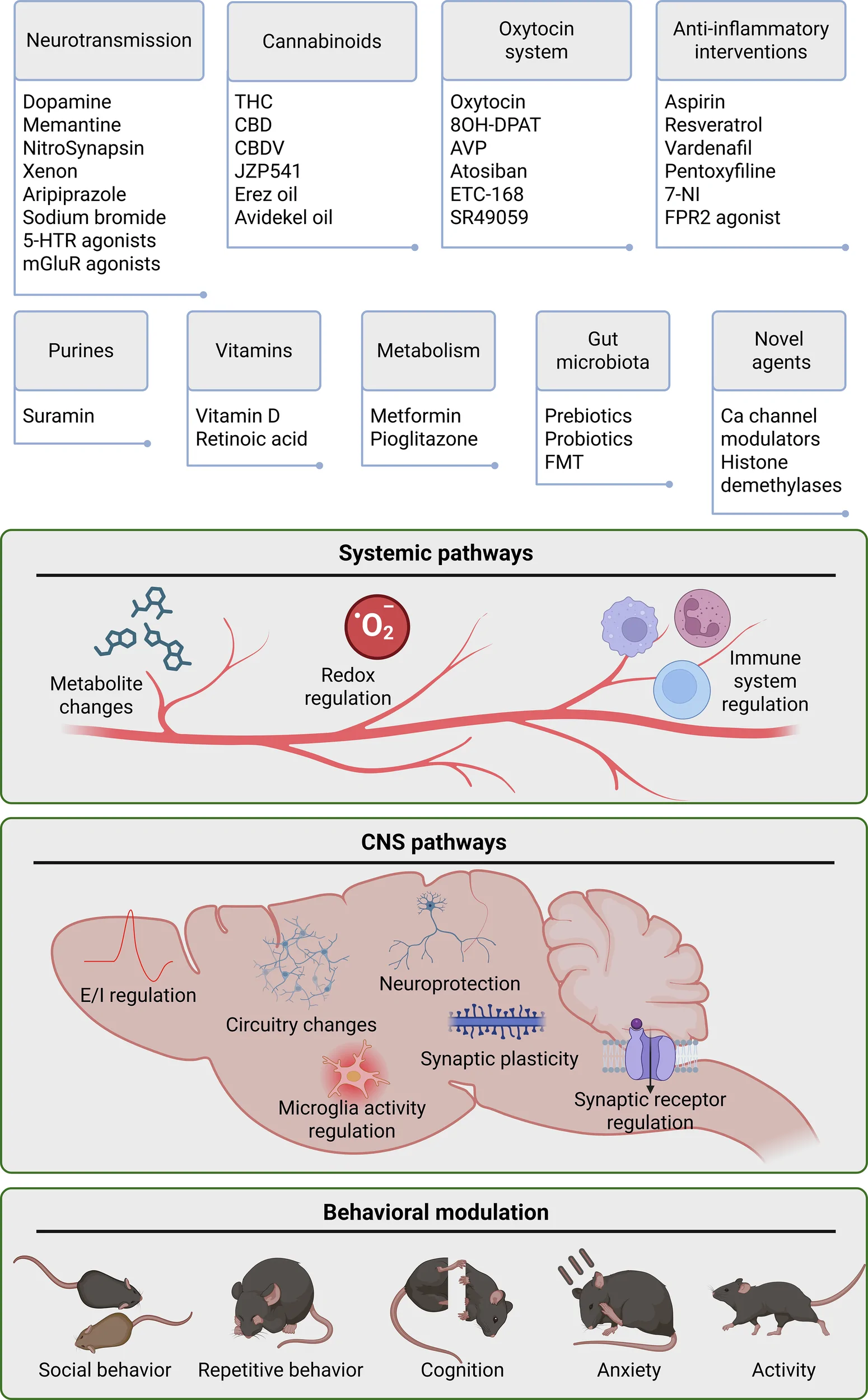 Overview of the investigated interventions, their primary targets in systemic circulation and the CNS with their associated behavioral outcomes.Created in BioRender.com.