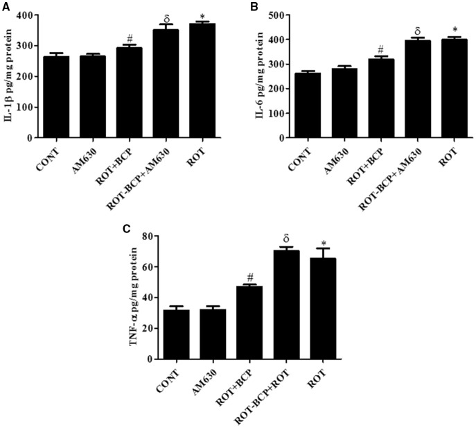 The pro-inflammatory cytokines: IL-1β, IL-6, and TNF-α were measured by enzyme linked immunosorbent assay (ELISA) in the midbrain. Values are expressed as mean ± SEM (n = 6–8). The level of IL-1β (A), IL-6 (B), and TNF-α (C) was significantly (*p < 0.05) increased in the ROT group when compared to the CONT group. Although, BCP supplementation significantly (#p < 0.05) decreased the ROT-induced increase of these proinflammatory cytokines in the ROT+BCP group. The ROT-BCP+AM630 group showed significantly (δp < 0.05) increased level of IL-1β, IL-6, and TNF-α as compared to the ROT+BCP group. There is no significant difference in these cytokines between the CONT and the AM630-only group.