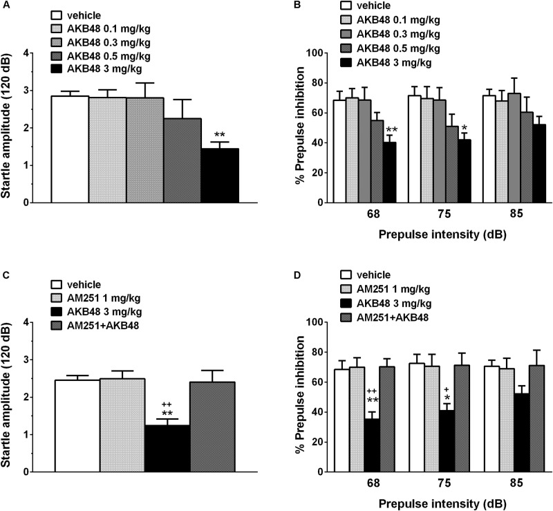 Effect of the systemic administration of AKB48 (0.1–3 mg/kg i.p.) on startle amplitude (A) and pre-pulse inhibition (PPI; B) in the rat. Effects on PPI are shown for the three prepulse intensities (68, 75, and 85 dB), 15 min after treatment. Effect of AM251 (1 mg/kg i.p.; injected on startle amplitude (C) and on AKB48-inhibited PPI (D) in the rat was also reported. Data are expressed (see section Materials and Methods) as absolute values (dB; A,C) and percentage decrease in the amplitude of the startle reactivity caused by presentation of the pre-pulse (% PPI; B,D) and values represent mean ± SEM of 10 animals for each treatment. Statistical analysis was performed by one-way ANOVA followed by Bonferroni’s test for multiple comparisons. ∗p < 0.05 and ∗∗p < 0.01 vs. vehicle and +p < 0.05, ++p < 0.01 vs. AM251 + AKB48.