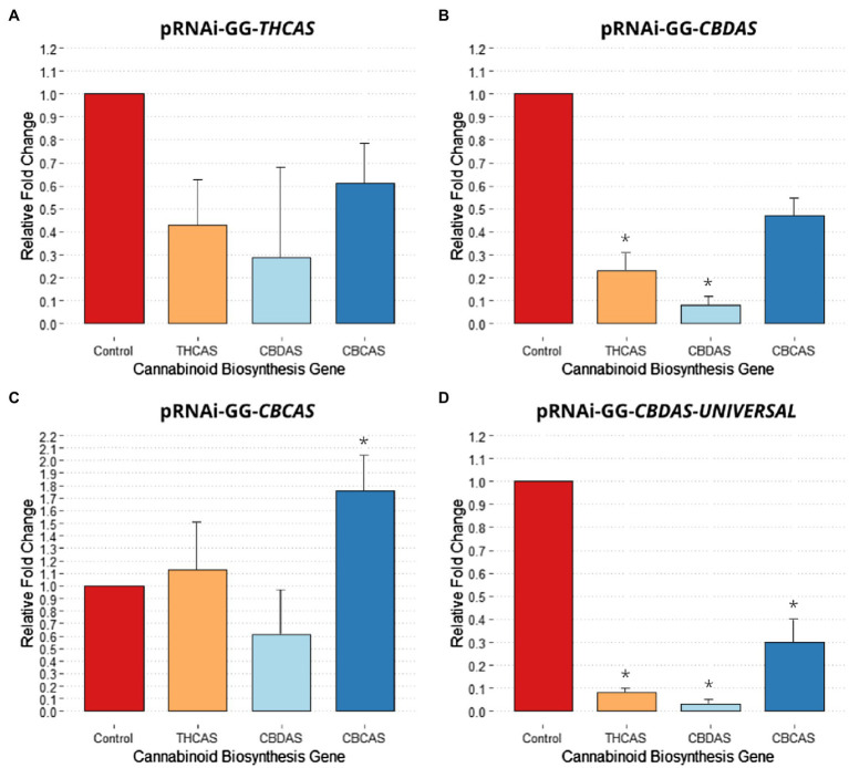 Effect of different pRNAi-GG vectors on cannabinoid biosynthesis gene relative expression change. (A) Relative fold change post agroinfiltration with pRNAi-GG-THCAS. (B) Relative fold change post agroinfiltration with pRNAi-GG-CBDAS. (C) Relative fold change post agroinfiltration with pRNAi-GG-CBCAS. (D) Relative fold change post agroinfiltration with pRNAi-GG-CBDAS-UNIVERSAL. Significance is determined by paired t-test, (p < 0.05) is denoted by *. Error bars represented SE.