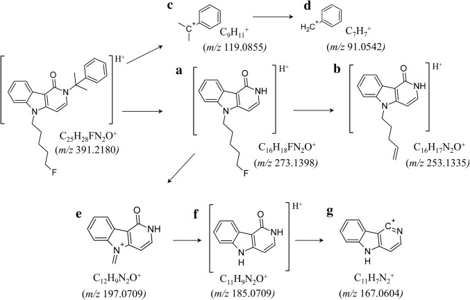 Proposed pathways for the formation of the main characteristic fragment ions in the liquid chmromatography–electrospray ionization-collision induced dissociation spectra of 5F-CUMYL-PEGACLONE