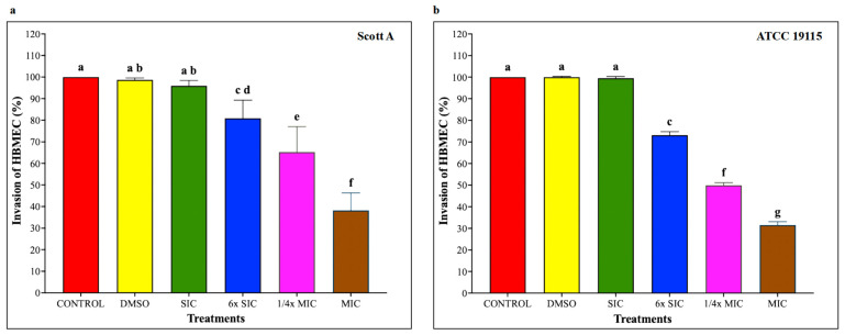 (a) Effect of cannabidiol on the invasion of L. monocytogenes Scott A into HBMEC. (b) Effect of cannabidiol on invasion of L. monocytogenes ATCC 19115 into HBMEC. L. monocytogenes cultures grown in the presence or absence of CBD (~7 log CFU/mL) were used to infect confluent HBMEC monolayers for 1 h. Following washing to remove non-adherent bacteria, monolayers were incubated for 2 h in medium containing gentamicin (100 μg/mL) to eliminate extracellular bacteria. Cells were then lysed, and intracellular bacteria were quantified by serial dilution and plating. Bars represent the mean adhesion on HBMEC (%) ± SD (n = 6). Different superscript letters indicate significant differences across treatments compared to the control (p < 0.05). Abbreviations: DMSO, dimethyl sulfoxide (solvent control); SIC, sub-inhibitory concentration; MIC, minimum inhibitory concentration.