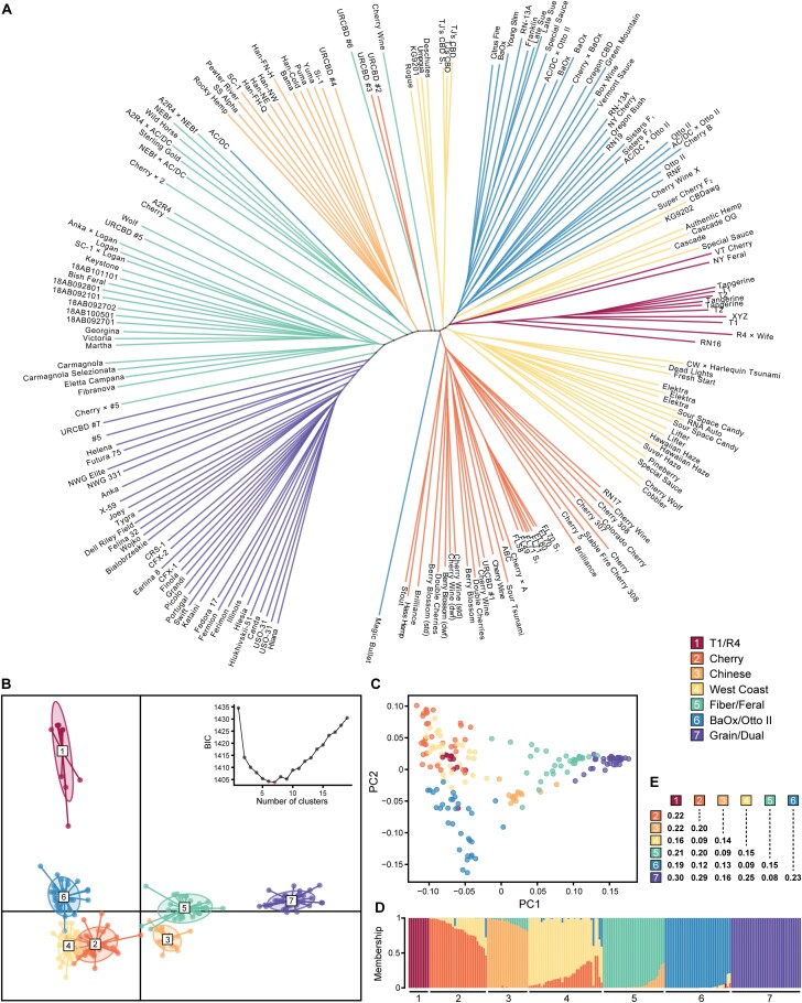 Genetic diversity of hemp. Using 190 hemp cultivars, crosses, and feral accessions, panels depict (A) unrooted Neighbor–Joining tree, (B) discriminant analysis of principal components (DAPC), (C) principal component analysis, (D) membership probability ordered by DAPC cluster and within-cluster membership, and (E) pairwise FST. DAPC clusters 1–7 inferred via the Bayesian information criterion (BIC) (k=1:19) are labeled/colored according to the key.