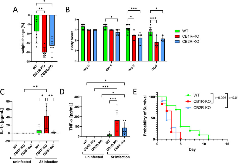 Multi-panel figure showing Salmonella outcomes in mice. CB1R-KO mice show greater weight loss, declining body condition scores, and elevated IL-1β/TNF-α levels post-infection versus WT control. Both knockout strains demonstrate reduced survival rates.