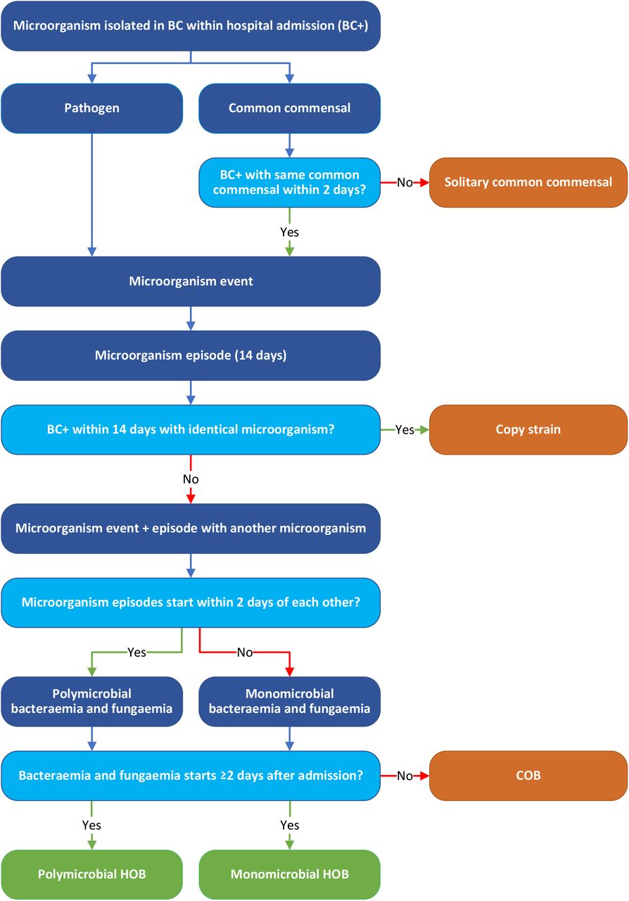 Schematic representation of the HOB algorithm BC = blood culture, BC+ = positive blood culture, COB = community-onset bacteraemia and fungaemia, HOB = hospital-onset bacteraemia and fungaemia.This is a simplified version of the HOB algorithm that is not intended for real-time processing of data, but to visualise how the different concepts relate to each other. For more details, please refer to Appendix 1.
