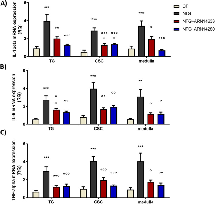 IL-1beta (A), IL-6 (B) and TNF-alpha (C) mRNA levels (expressed as relative quantification, RQ) in trigeminal ganglion (TG) and cervical spinal cord (CSC) ipsilateral to formalin injection and medulla in toto of animals treated with NTG vehicle (CT), NTG, NTG + ARN14663 and NTG + ARN14280 (n. 9 per group). Data are expressed as mean ± SEM; one-way ANOVA followed by Tukey’s multiple comparisons test; *p < 0.05, **p < 0.01 and ***p < 0.001 vs CT; °p < 0.05, °°p < 0.01 and °°°p < 0.001 vs NTG