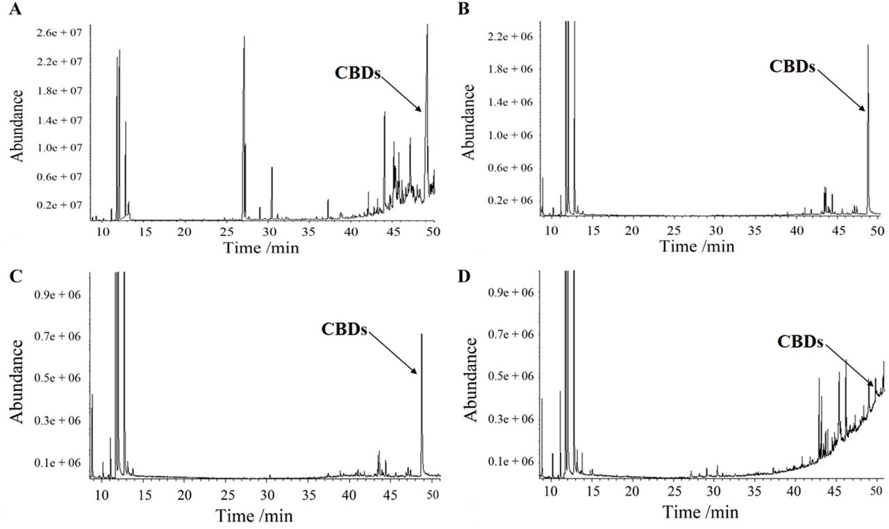 (A) Total ion current of fractions eluted by 1:1 ratio of petroleum ether/ethyl acetate. (B) Total ion current of fractions eluted by 3:1 ratio of petroleum ether/ethyl acetate. (C) Total ion current of fractions eluted by 5:1 ratio of petroleum ether/ethyl acetate. (D) Total ion current of fractions eluted by 7:1 ratio of petroleum ether/ethyl acetate.