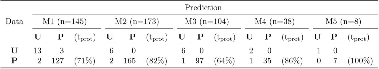 Validation of protection status and duration by sampling time between month one (M1) and month 5 (M5).We compare the number of unprotected (U) and protected (P) individuals between data and model prediction, and determine the proportion of protected whose duration of protection (tprot) is also predicted accurately. In this summary, individuals are excluded if the measured IgG antibody level for model calibration falls above the limit of quantification for the given month, and if the time window to extract the duration of protection from the data exceeds 45 days.