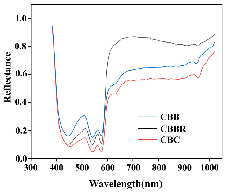 Mean spectral reflectance curves of CBDs.
