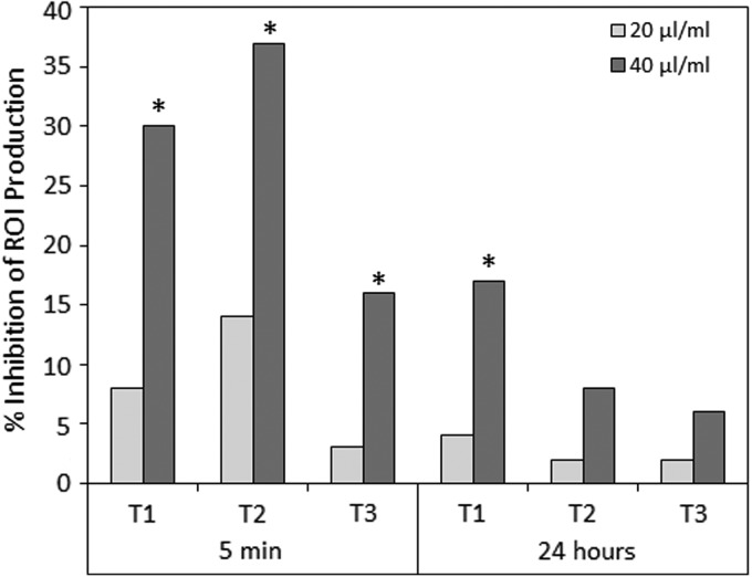 Zymosan-induced generation of ROIs by RAW 264.7 macrophages was inhibited by essential Cannabis oils from each of the three chemotypes Tisza (T1), Felina (T2), and Ferimon (T3). RAW 264.7 macrophages (5×105/500 μL HBSS) were either untreated (Control) or incubated with 20 or 40 μL essential oils for 5 min or 24 h before ROI induction by zymosan. The ROI was measured by luminol chemiluminescence. The percentage inhibition of ROI production is presented. *p<0.05. ROI, reactive oxygen intermediate; HBSS, Hank's Balanced Salt Solution.