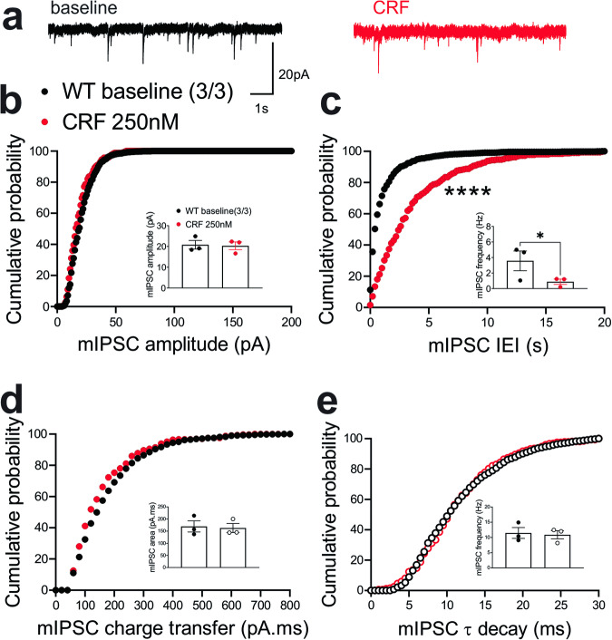 CRF significantly suppressed presynaptic GABA release in the LHb of WT mice.a Sample GABAAR-mediated mIPSC traces from WT mouse before (black) and after CRF application (red, 250 nM) (calibration bars: 20 pA/1 s). Average bar graphs of mIPSC and cumulative probability plots of (b) amplitude, (c) frequency (inter-event interval), (d) charge transfer and (e) τ decay for all mIPSCs in WT mice before (black filled symbols) and after CRF (red filled symbols) (n = 3 cells from 3 mice). Two-tailed paired Student’s t-tests and Kolmogorov-Smirnov tests, *p < 0.05, ****p < 0.0001.