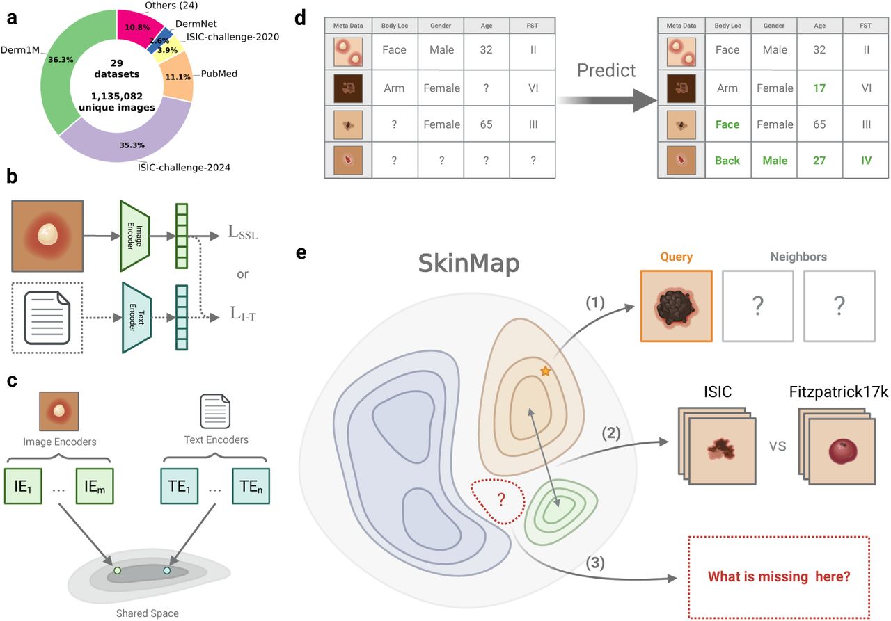 The SkinMap multi-modal framework for auditing the global dermatology landscape.a, Aggregation of 29 public datasets yielding 1.1 million unique images with sparse original metadata. b, Multi-modal training pipeline utilizing self-supervised learning (SSL) on imaging data and contrastive learning on image-text pairs generated via templated captions. c, Construction of a unified latent space by projecting diverse encoders into a shared low-dimensional manifold. d, Imputation engine training, where linear probes learn to predict missing attributes (e.g., Fitzpatrick skin type, age, and sex) using partial meta-information. e, Applications of the resulting digital SkinMap atlas: (1) A clinician-facing search tool for finding semantically similar cases; (2) a structural audit tool for identifying dataset overlaps and homologies; and (3) a strategic acquisition guide for detecting underrepresented latent regions to direct future data collection.