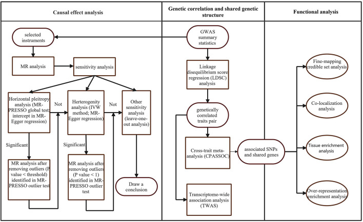 Overall study design.