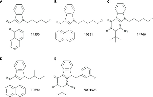 Structural comparison of SC identified to reduce spontaneous seizures in the scn1lab Dravet syndrome zebrafish mutant. (A) 14550; 5-fluoro PB-22 5-hydroxyisoquinoline isomer, (B) 10521; JWH 018 N-(5-chloropentyl) analog, (C) 14766; 5-fluoro ADBICA, (D) 10690; JWH 018 N-(2-methylbutyl) isomer, and (E) 9001523; AB-FUBINACA 3-fluorobenzyl isomer.